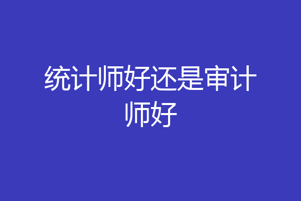 统计师好还是审计师好