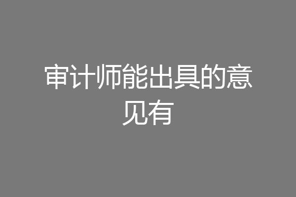 审计师能出具的意见有