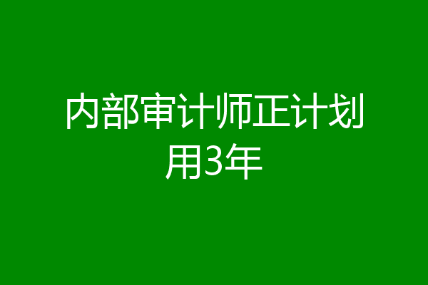 内部审计师正计划用3年
