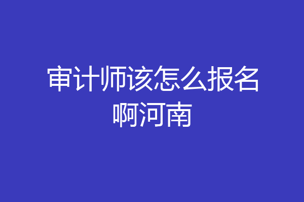 审计师该怎么报名啊河南