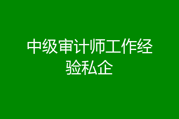 中级审计师工作经验私企
