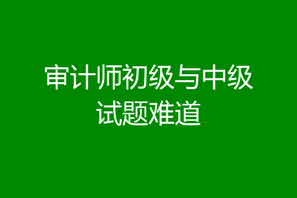 审计师初级与中级试题难道