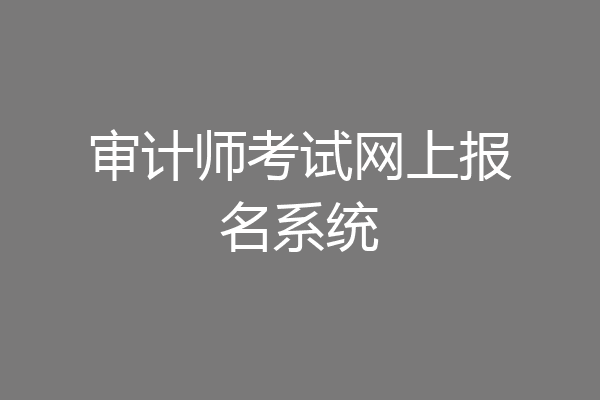 审计师考试网上报名系统