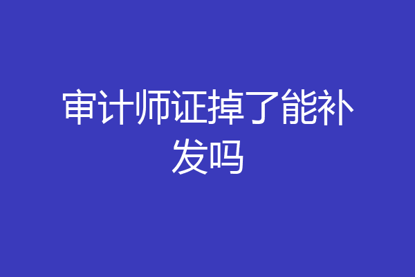 审计师证掉了能补发吗