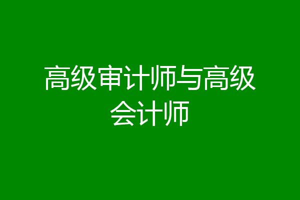 高级审计师与高级会计师