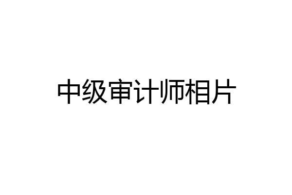 中级审计师相片