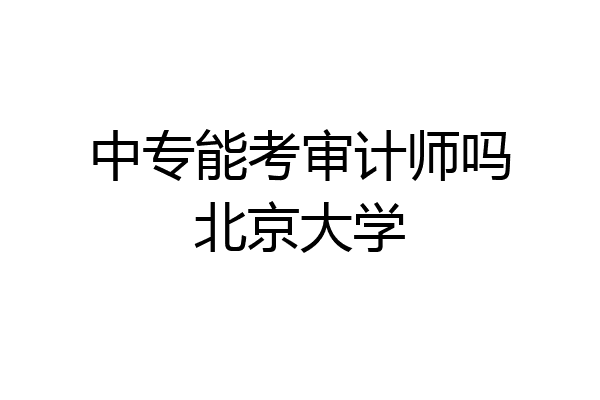 中专能考审计师吗北京大学