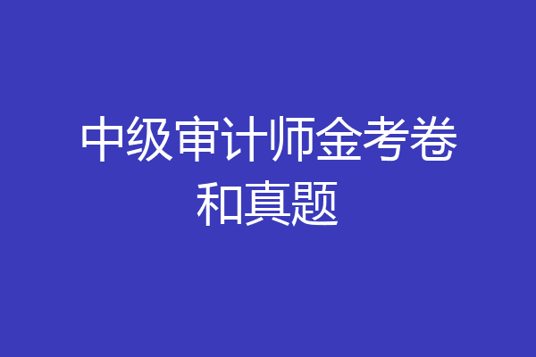 中级审计师金考卷和真题