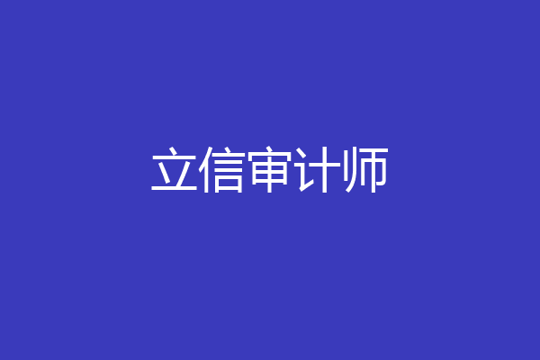 立信审计师