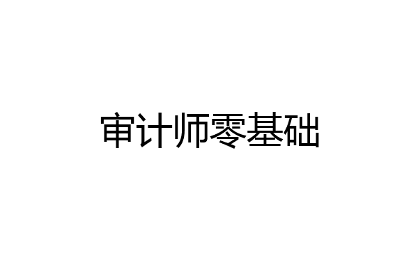 审计师零基础