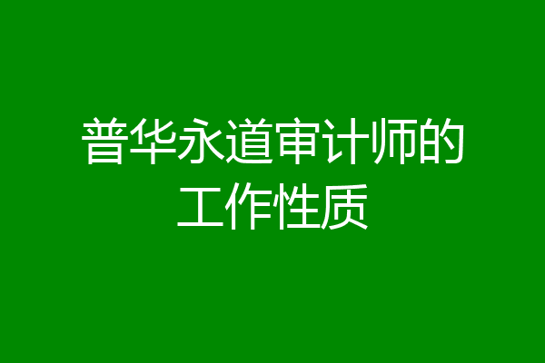 普华永道审计师的工作性质