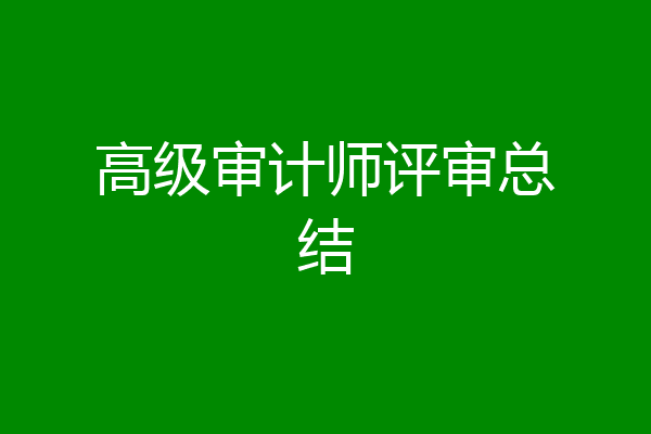 高级审计师评审总结