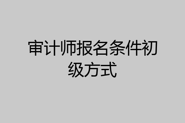 审计师报名条件初级方式