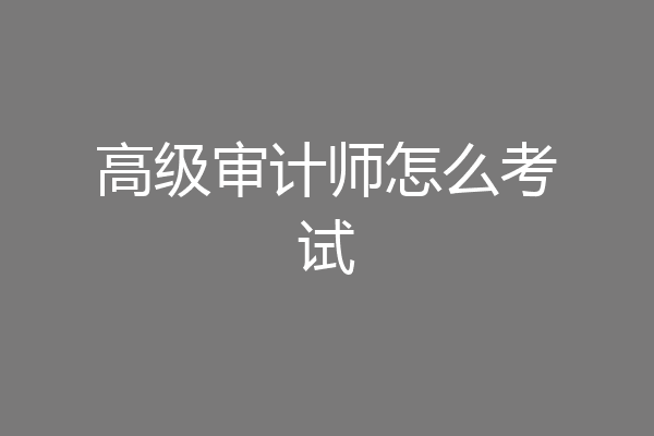 高级审计师怎么考试