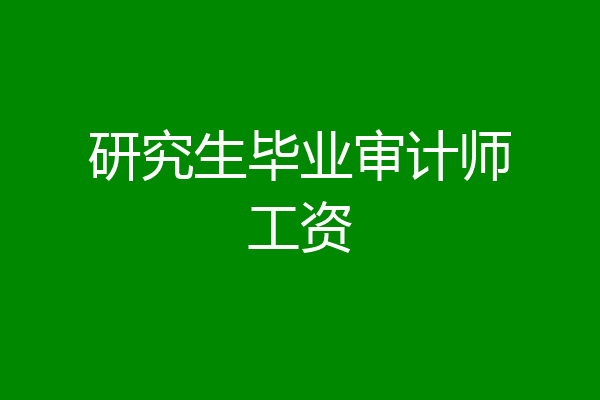 研究生毕业审计师工资