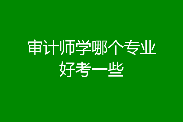 审计师学哪个专业好考一些