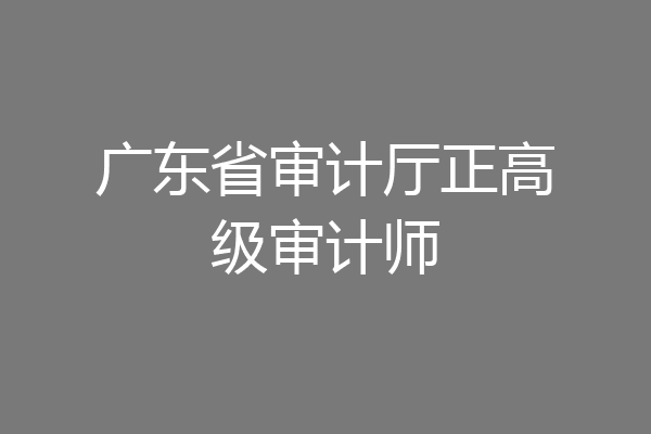 广东省审计厅正高级审计师
