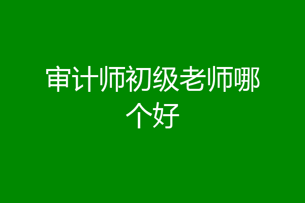 审计师初级老师哪个好