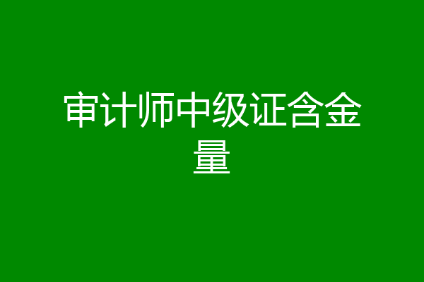 审计师中级证含金量