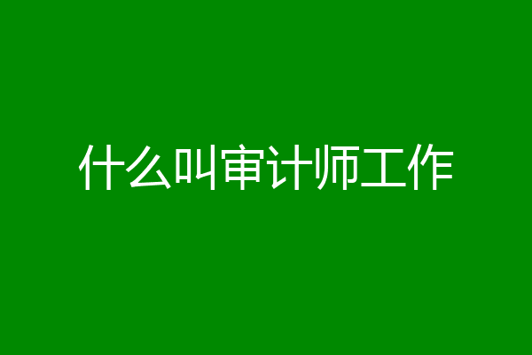 什么叫审计师工作