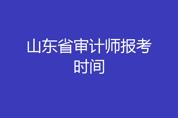 山东省审计师报考时间
