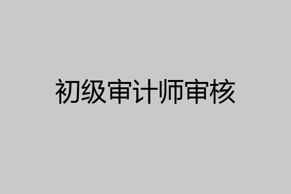 初级审计师审核