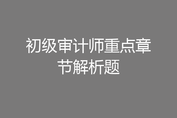 初级审计师重点章节解析题