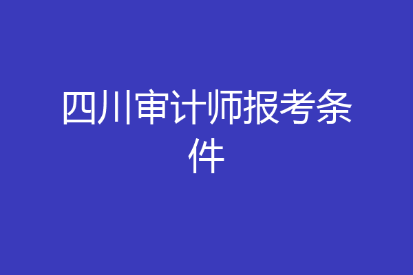 四川审计师报考条件