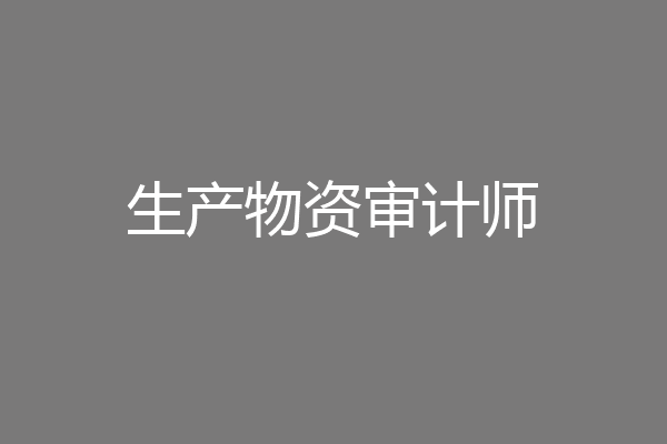 生产物资审计师