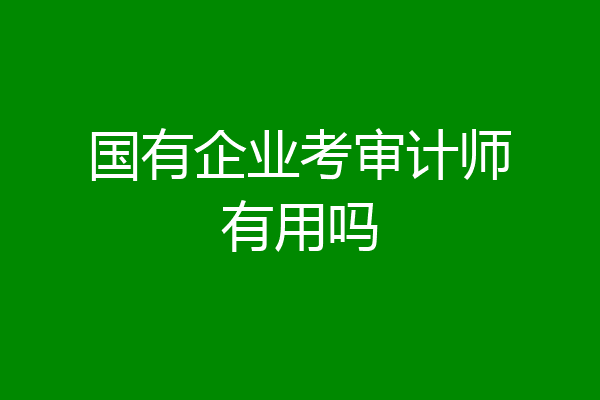 国有企业考审计师有用吗