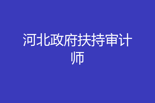 河北政府扶持审计师