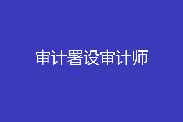 审计署设审计师