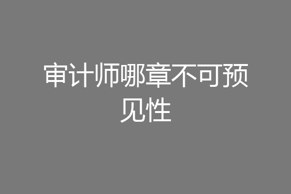 审计师哪章不可预见性