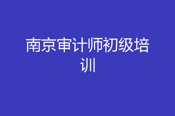 南京审计师初级培训