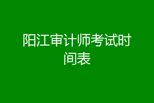 阳江审计师考试时间表
