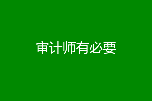审计师有必要
