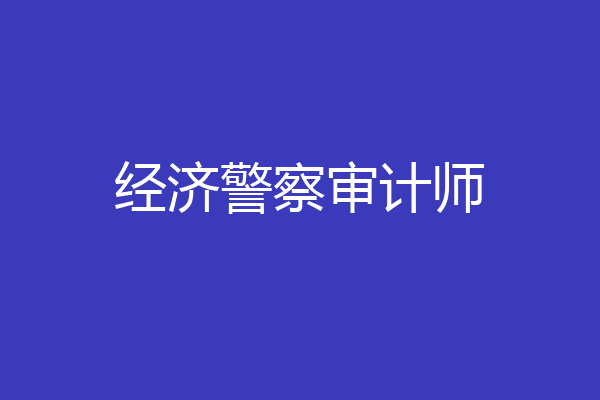 经济警察审计师