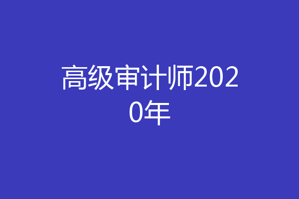 高级审计师2020年