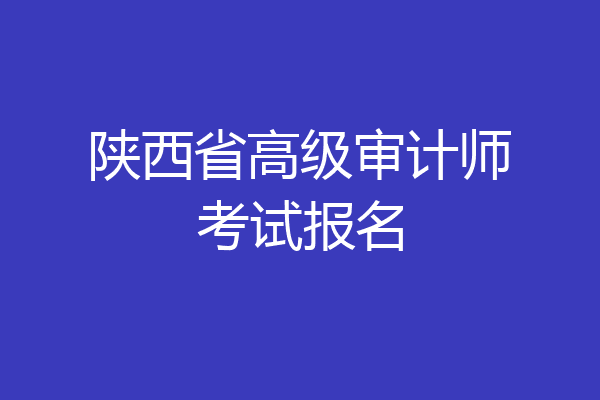 陕西省高级审计师考试报名