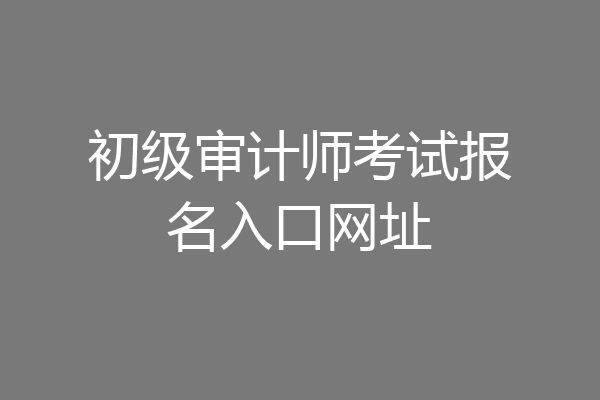 初级审计师考试报名入口网址