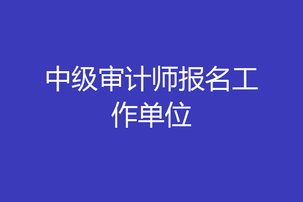 中级审计师报名工作单位