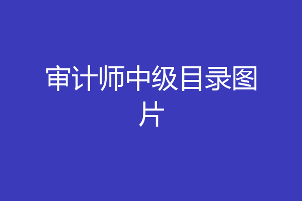 审计师中级目录图片