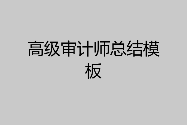 高级审计师总结模板