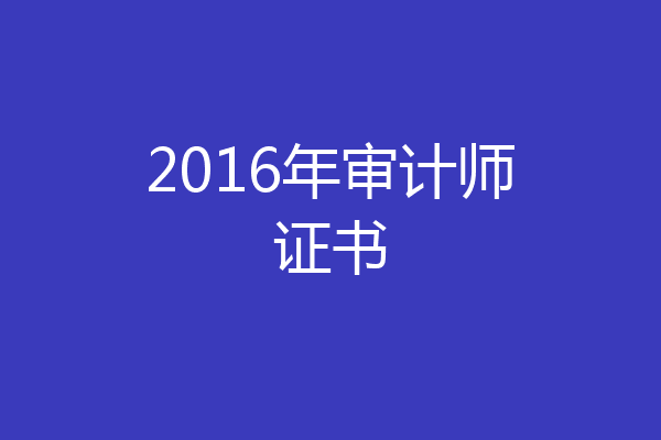 2016年审计师证书