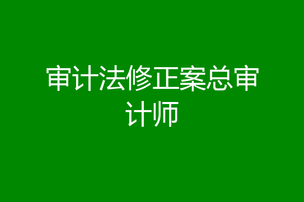 审计法修正案总审计师