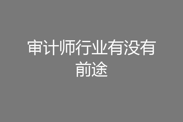 审计师行业有没有前途