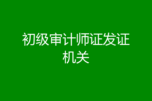 初级审计师证发证机关