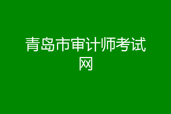 青岛市审计师考试网