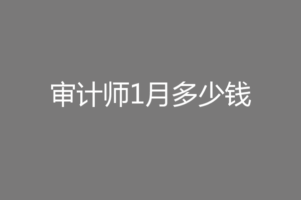 审计师1月多少钱