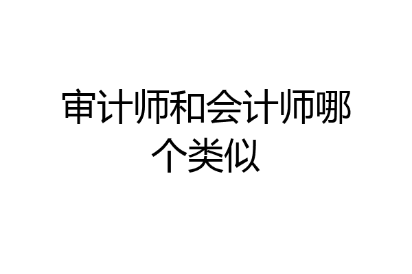 审计师和会计师哪个类似